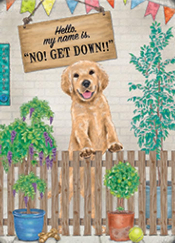 The Original Metal Sign Small (15 x 20 cm) Metal Sign - Hello, my name is ""NO! Get down!!"", Multicolour