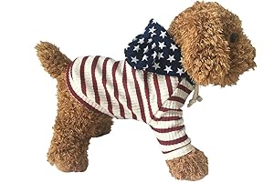 Patriotic Dog Outfit for 4th of July