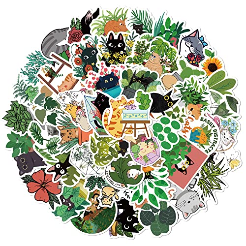 50Zbg O[ K[fjO AؔfR i` AZbg XebJ[ h fJ[   lC m[gp\R p\R Xm{ XP[g{[h ו X[cP[X M^[  X}zP[X XP{[ J[