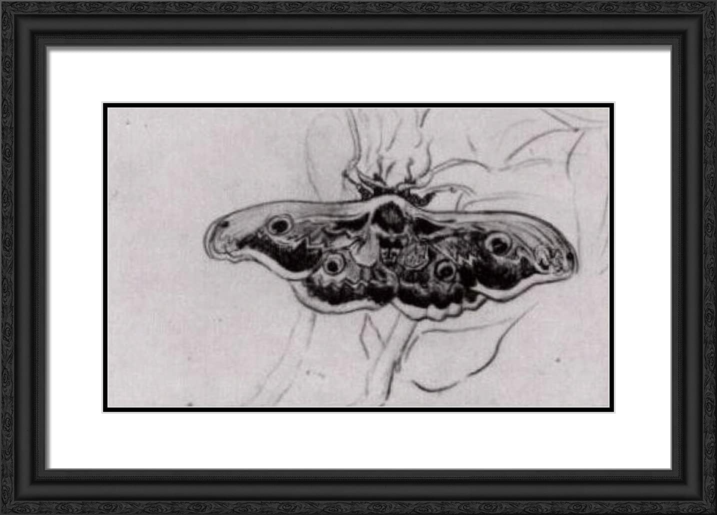 ArtDirect Van Gogh, Vincent 24x18 Black Modern Framed Art Print Titled: Deaths Head Moth