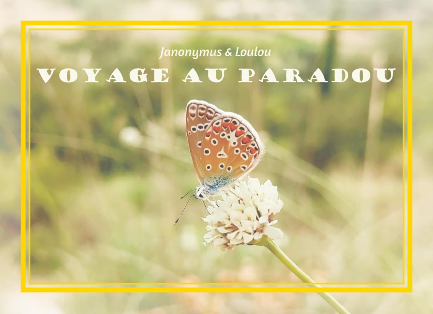 Voyage au Paradou: 42 limericks illustrés pour un récit poétique de voyage