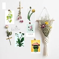 Vista 2 de Kit de collage de pared con imágenes estéticas, decoración estética verde de la habitación, pósteres de los años 50 para estética de habitación