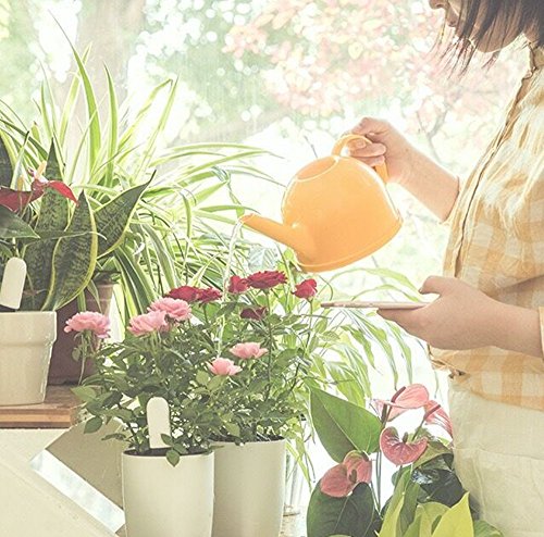 image for SEEKONE 4IN1 Soil Tester Moisture Meter, Light, Temperature and Fertil