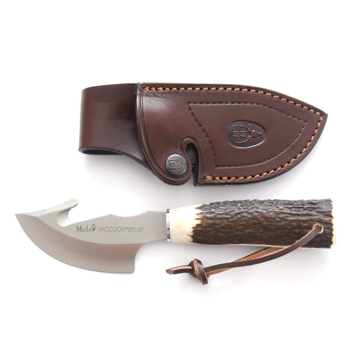 Muela Cuchillo de caza RACCOON-8A con hoja de acero inoxidable ACX-380 de 8 cm y empuñadura de asta de ciervo para Caza, Pesca, Supervivencia y Bushcraft + Portabotellas de regalo