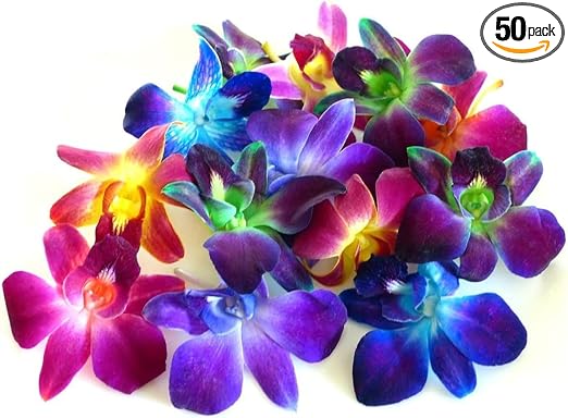 Miami Fresh Orchid Flower OrchidClub USA Sunne Tropical Loose Bloom Head DIY Lei food drink decoration MULTICOLOR (50 RAINBOW)