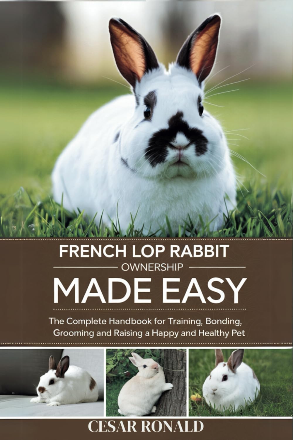 French Lop Rabbit Ownership Made Easy: The Complete Handbook For Training, Bonding, Grooming and Raising a Happy And Healthy Pet (The Rabbit Encyclopedia)