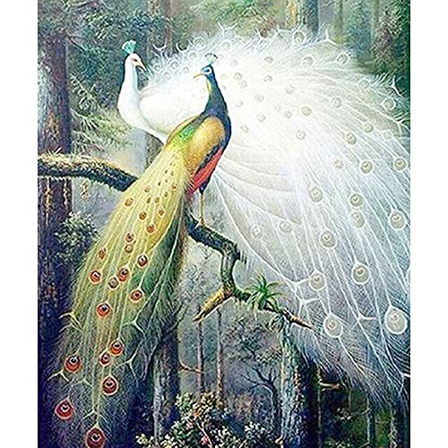 Peinture strass paon blanc 5D pour réduire le stress par l'art créatif manuel