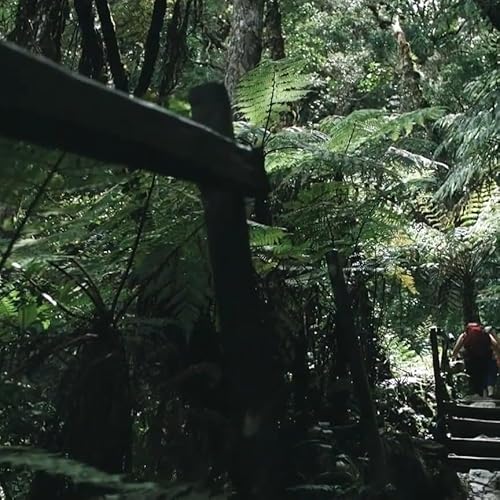 After Fajr Prayer do this