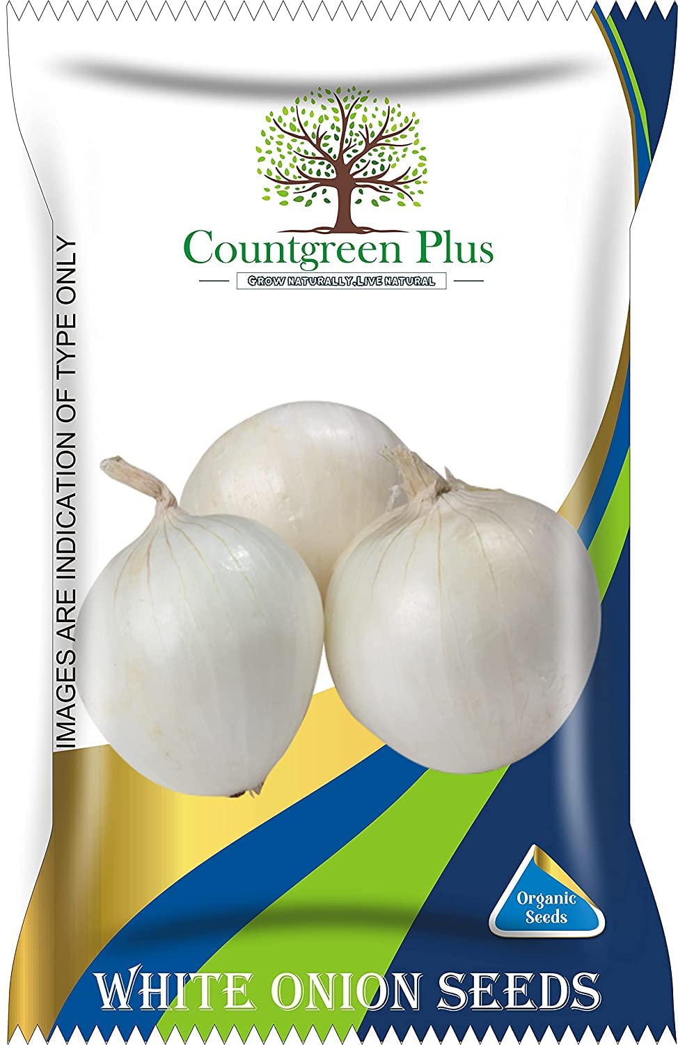 Countgreen Plus Organic White Onion Vegetable Seeds | Non-Hybrid, Open Pollinated, Non-GMO Pack of 100 Seeds (B0921WMCZ6) Amazon Price History, Amazon Price Tracker