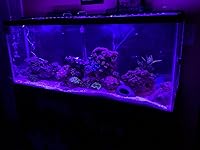 Review Image by Joyce from Ohio Joyce from Ohio