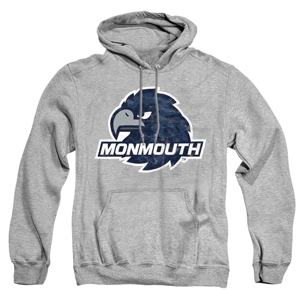 LOGOVISION Official Collegiate Distressed Primary Logo Adult Pullover Hoodie Collection — view 116