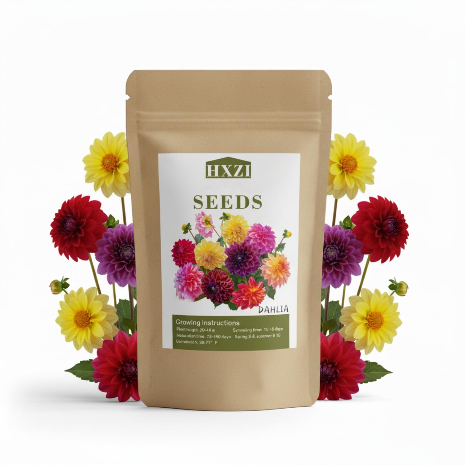 Dahlia Seeds, Dahlia Pompon Flower Seeds for Planting (900 Pcs,0.18 Ounce, 5 Grams)