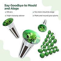 Vista 3 de LetPot 172 piezas Kit de germinación de semillas, esponjas de cultivo hidropónico, kit de germinación para hidropónico con 60 esponjas, 2