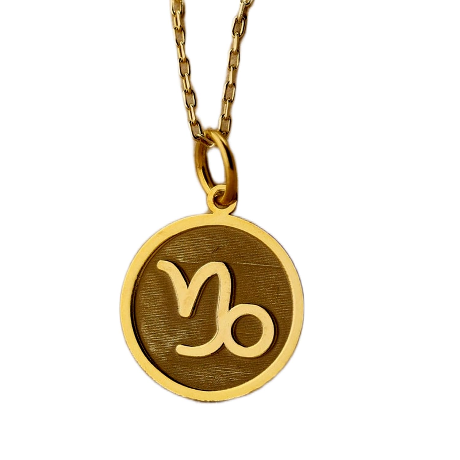 Collar de plata de ley 925 de 24 mm, cadena de 45,7 cm, collar del zodiaco Capricornio, colgante de moneda con símbolo del zodiaco de Capricornio cepillado, colgante del zodiaco, mujer, joyería hecha
