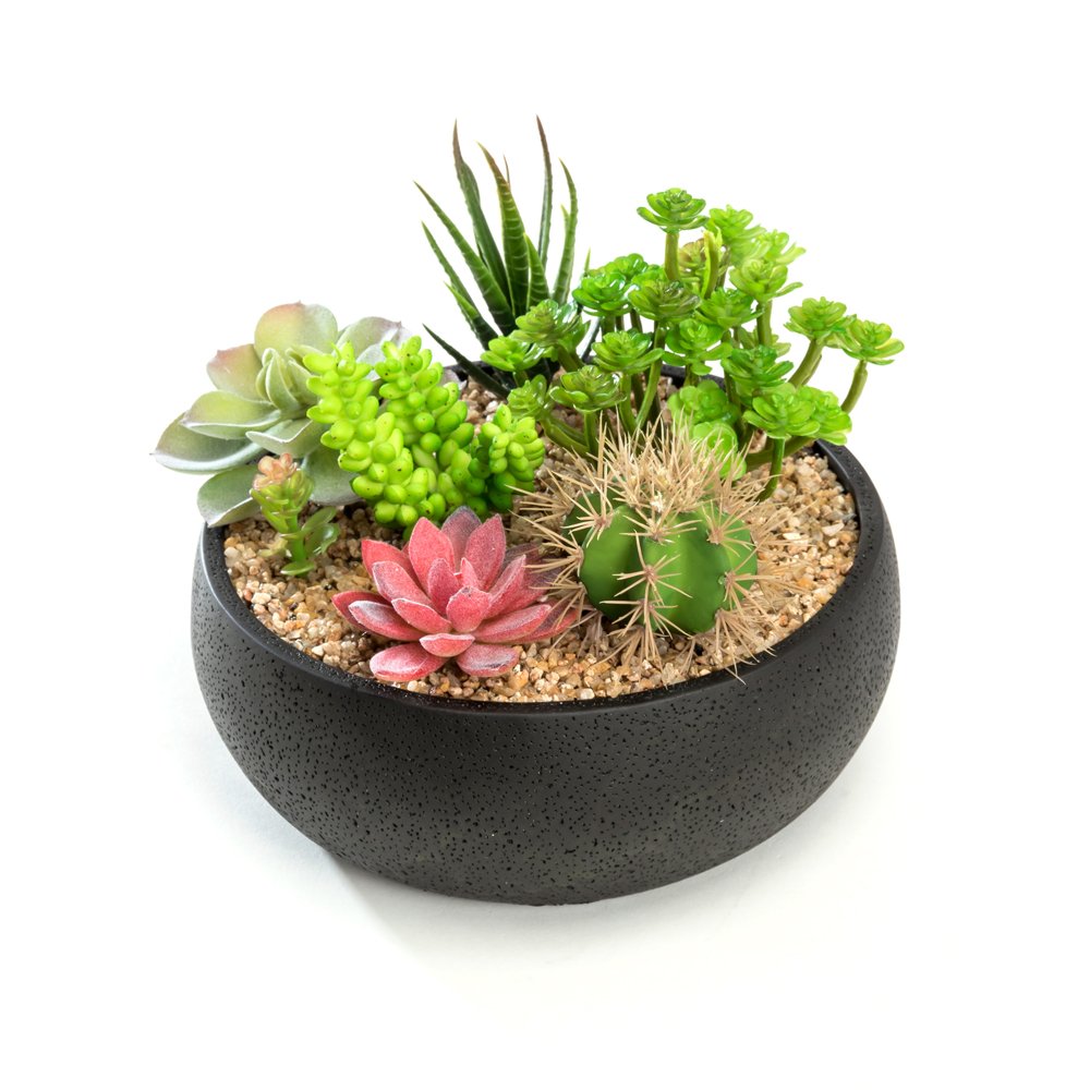 Succulent Planter, 8.9 inch Modern Style Round Cement Succulent Plant Pot/Cactus Holder (Black)