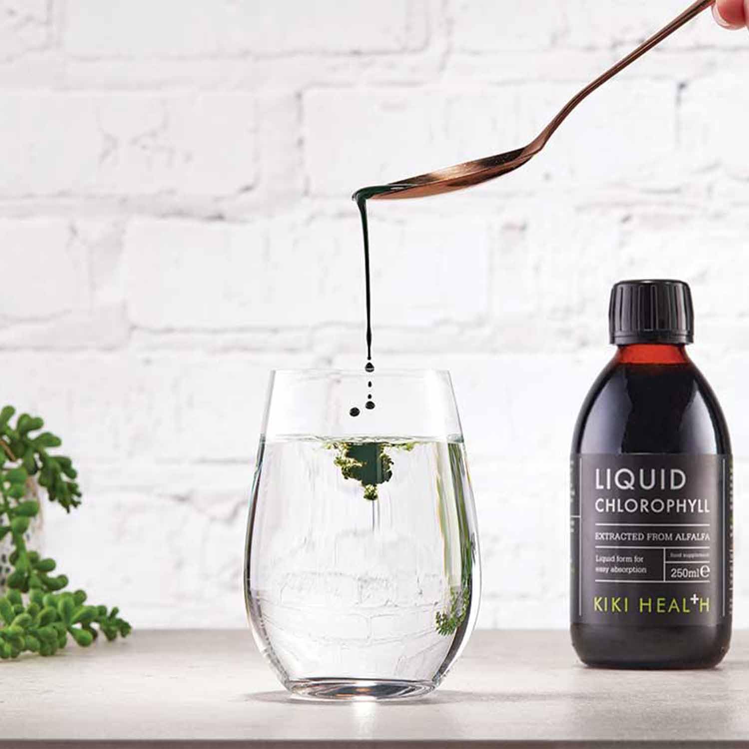 Liquid Chlorophyll - 250 ml.
