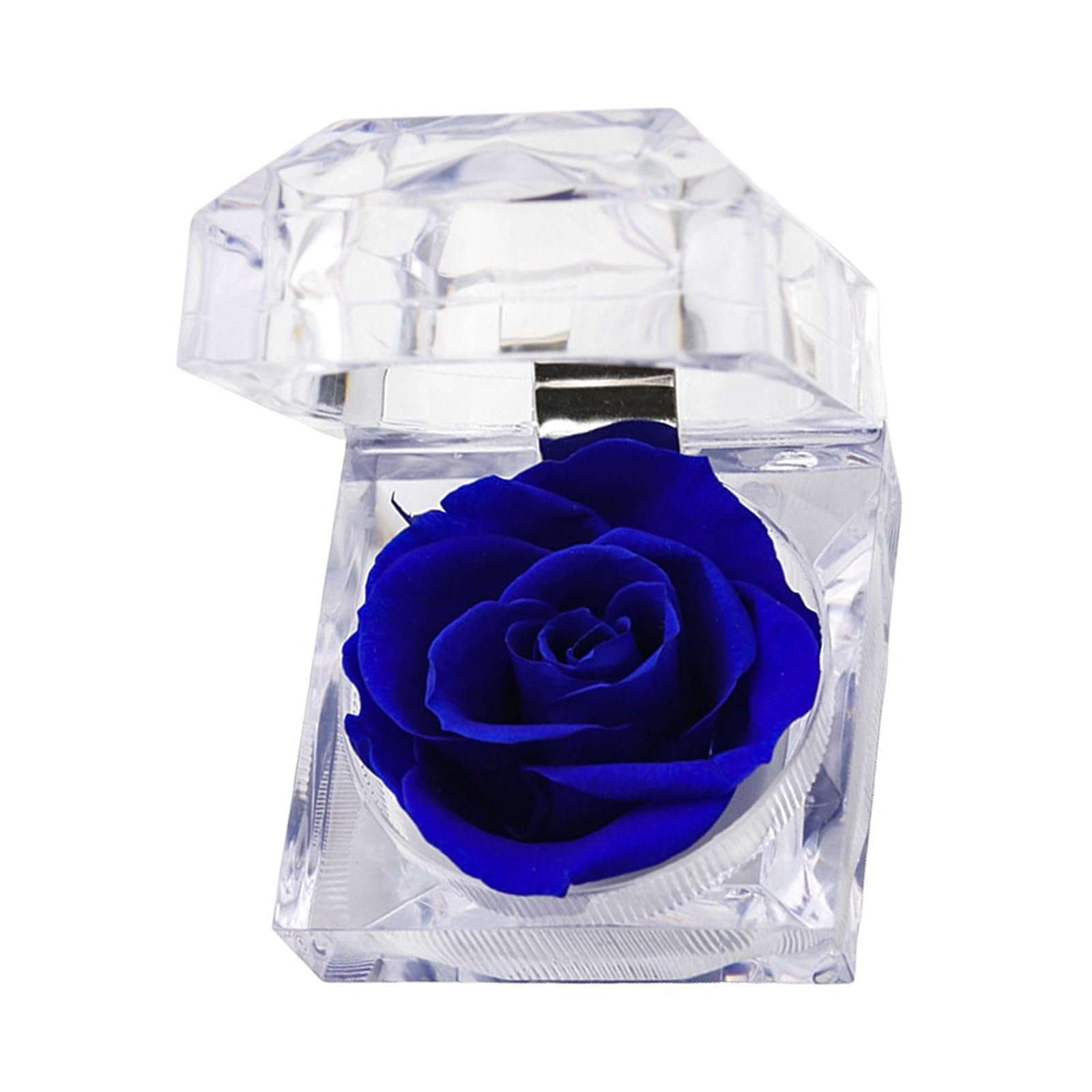 Msioytog Rose Display Box Providing Elegant Presentation and Secure Storage for Jewelry Items Travel Jewelry Organizers