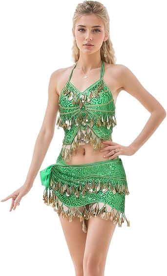 Belly Dance Hip Scarf with Crop Top Set, Sequined Fringe Skirt & Glittering Bra Tops