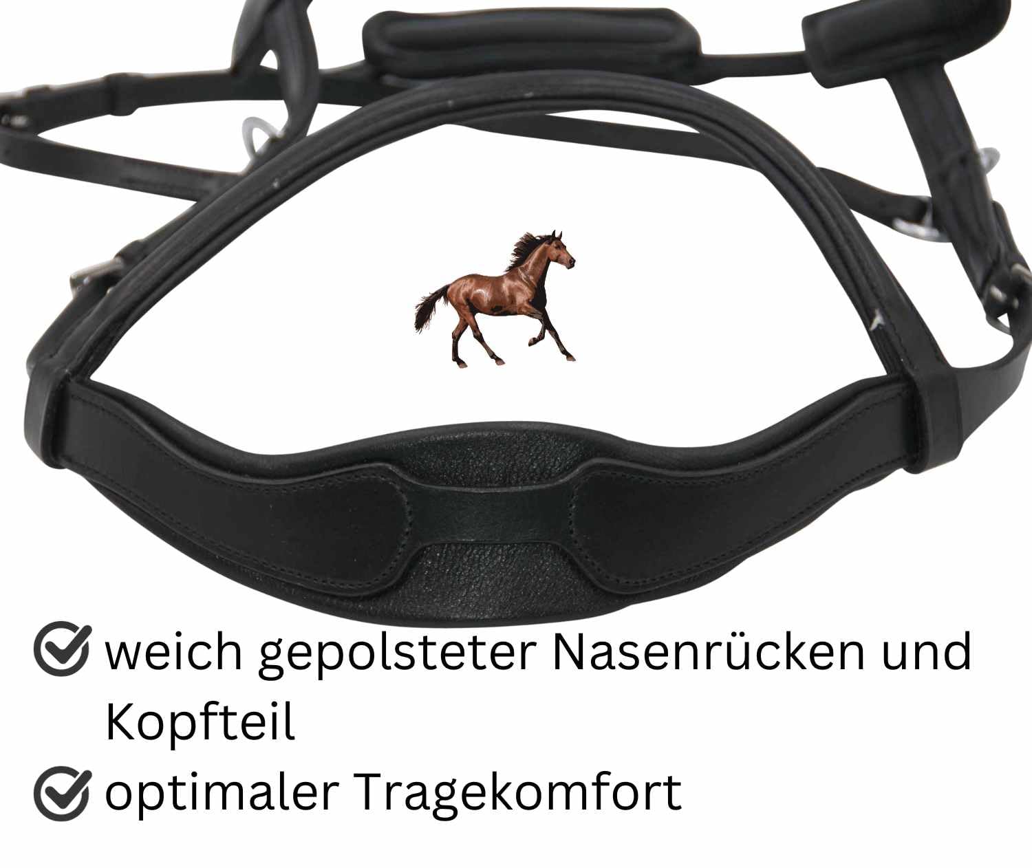 AMKA Reitkappzaum mit Gebissverschnallung zum Longieren und Reiten gebisslos oder mit Gebiss VB, WB, XWB