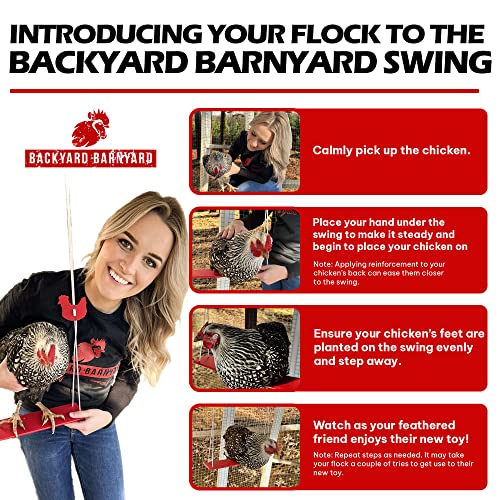 Backyard Barnyard Poleiro de balanço de galinha feito nos EUA! Brinquedo de bar de galinha para gali