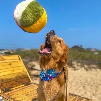 Fluff & Tuff Beach Ball, 7