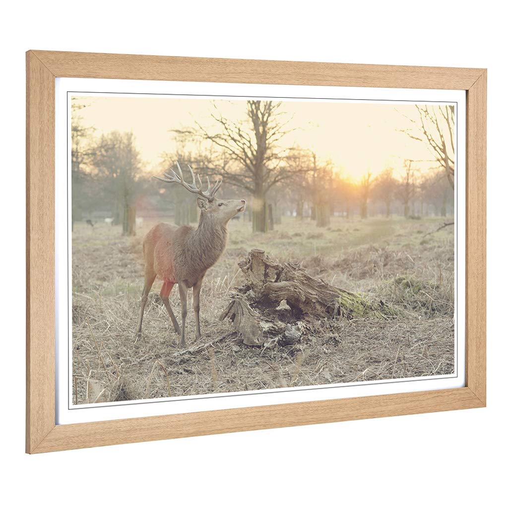 Big Box Art Framed Print of Stag Forest Landscape Design | Wall Art Picture | Home Decor for Kitchen, Living, Dining Room, Lounge, Bedroom, Hallway, Office, Oak, A2 / 24.5x18 Inch / 62x45cm