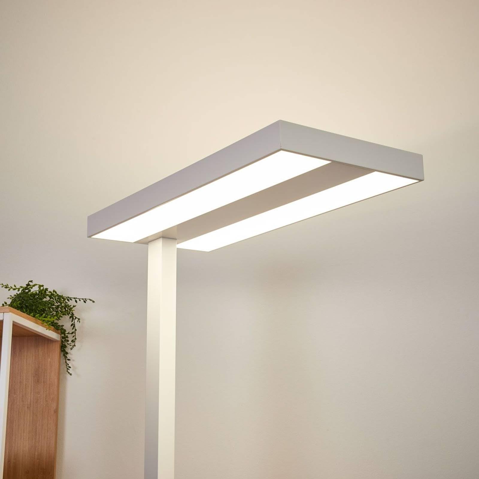 Arcchio Lampada da Terra Dimmerabile, Piantana LED 60W 6000LM Luce Bianco Naturale 4.000 K per Ufficio verso Alto e Basso Studio Moderno Industriale