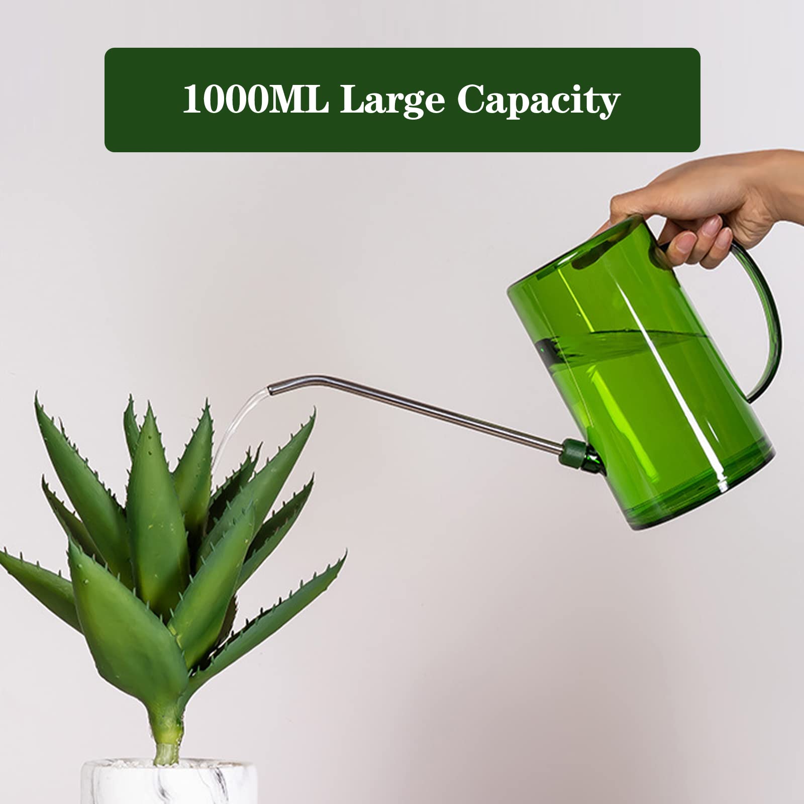 Queen.Y Mini Annaffiatoio In Acciaio Inox – Beccuccio Lungo 300ml Per Bonsai E Piante Grasse