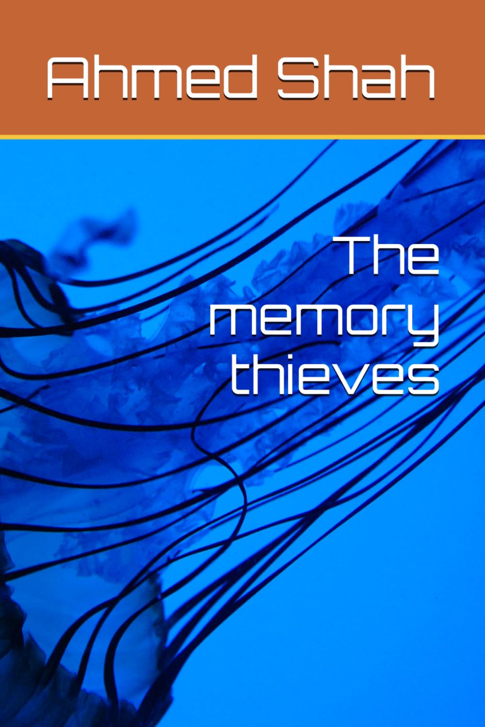 The memory thieves
