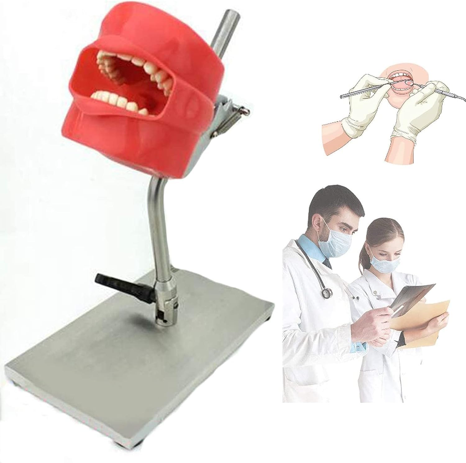Model Nauczania, Szablon Zębów Symulator Dentystyczny, Stomatologia Stomatologiczna Tworzenie Zębów Treningowych Siedziba Główna Opieka Zdrowotna Jamy Ustnej Dentysta Higiena Pleśni