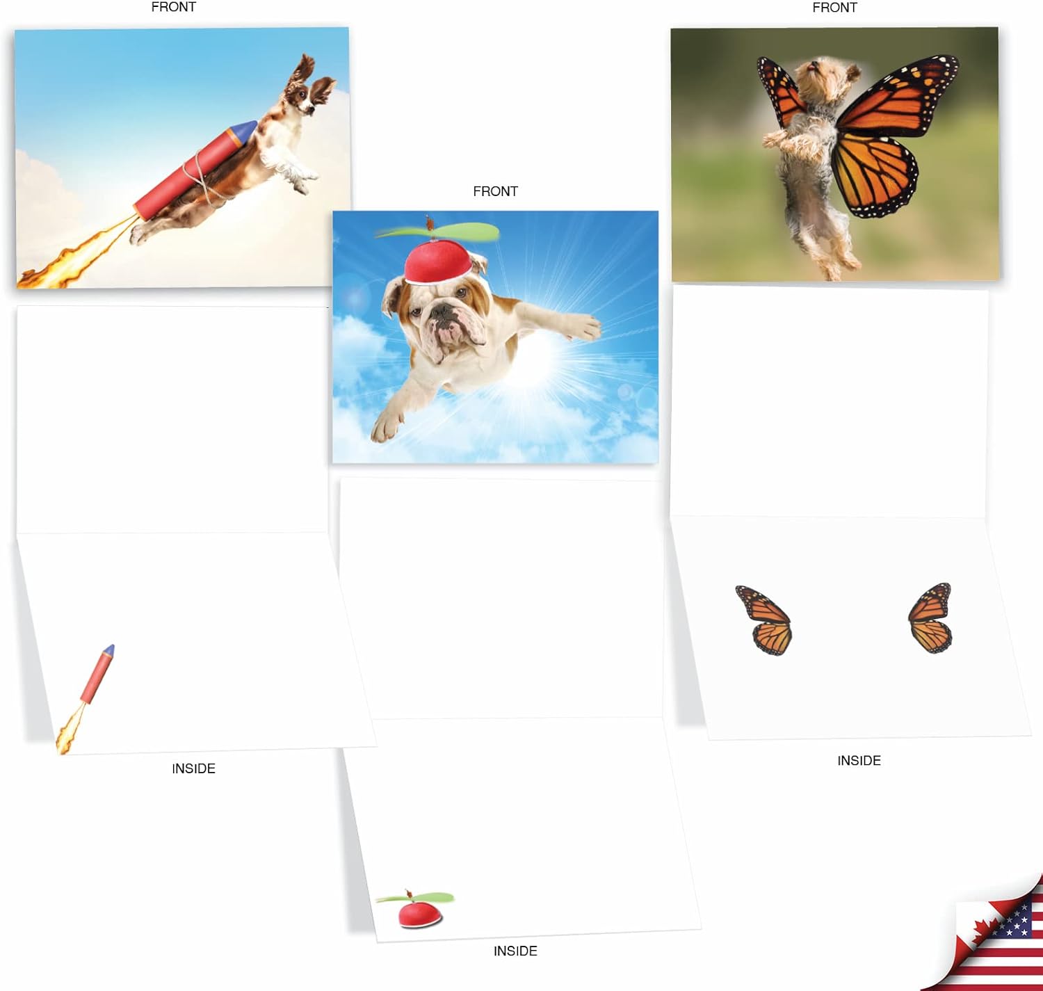 The Best Card Company - 10 Blank Dog Cards Assorted (4 x 5.12 Inch) - Adorable Boxed Animal Note Cards for All Occasions - The Flying K9 M6448OCB image 2