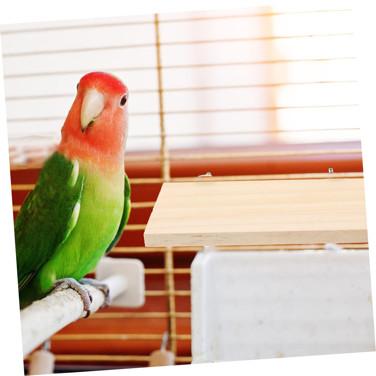 BESPORTBLE Natural Wood Bird Perch Platform Durable Flat Stand for Parrots Parakeets and Cockatiels Exercise Accessory for Pets to Rest and Play