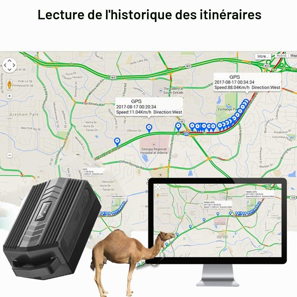 TKMARS Traceur GPS 4G pour Grands Animaux (Chiens de Chasse, Chevaux, Bétail) | Collier GPS Étanche IP66 | Suivi en Temps Réel et Historique | Autonomie 30 Jours | Alerte Geo-Clôture TK935