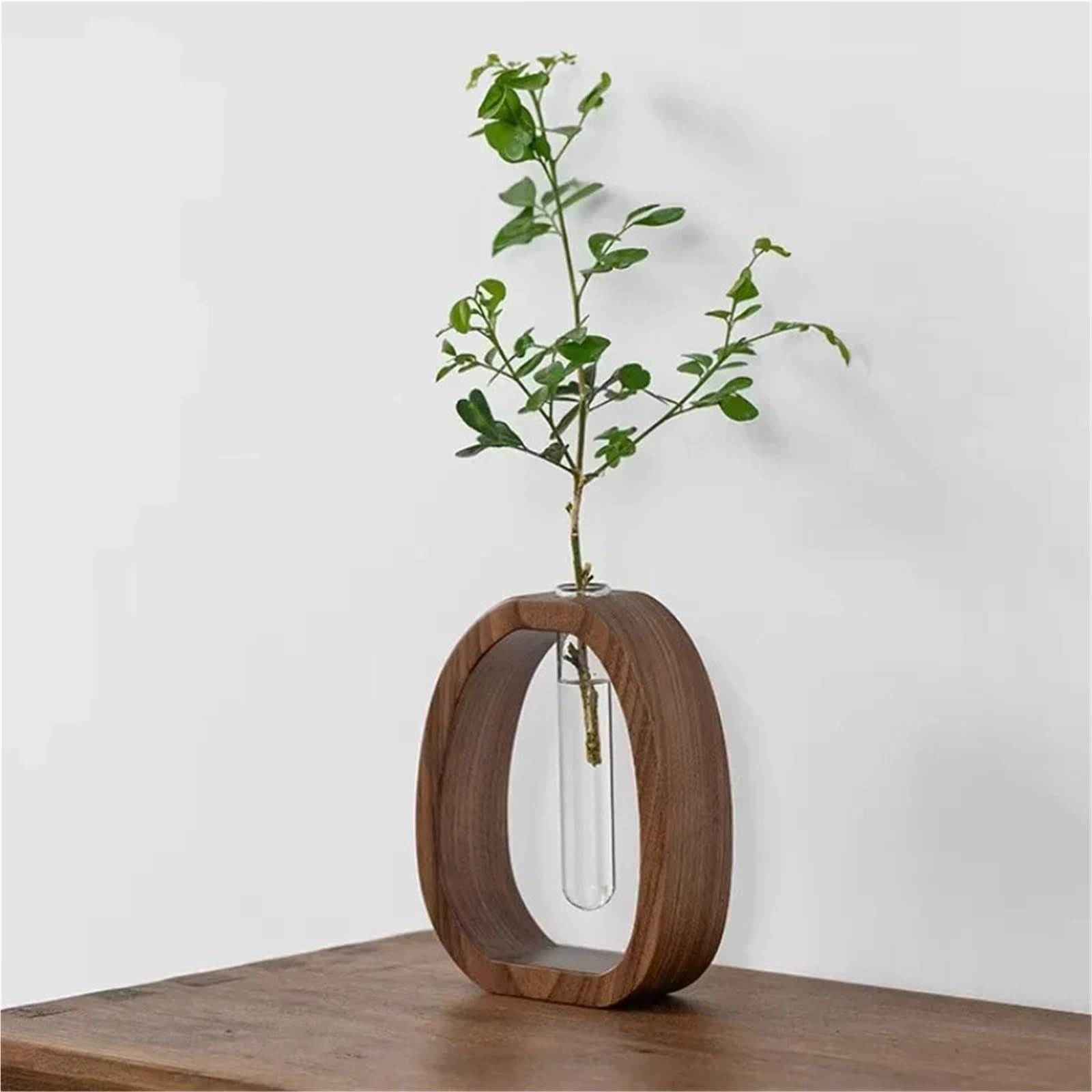 Vase Hydroponique Verre Plante hydroponique Terrarium Vasevase décoration Maison Bouteille en Verre Bureau Plante Verte Petit Pot(M)