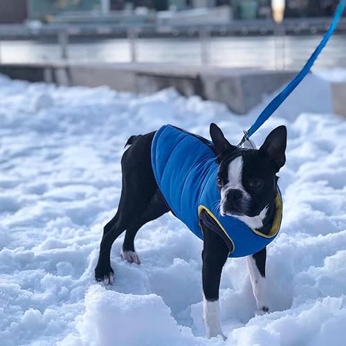 Gooby Padded Vest Dog Jacket — detail view