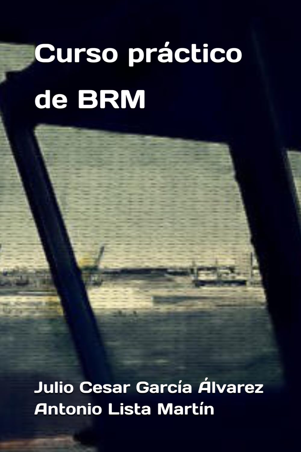 Curso práctico de BRM