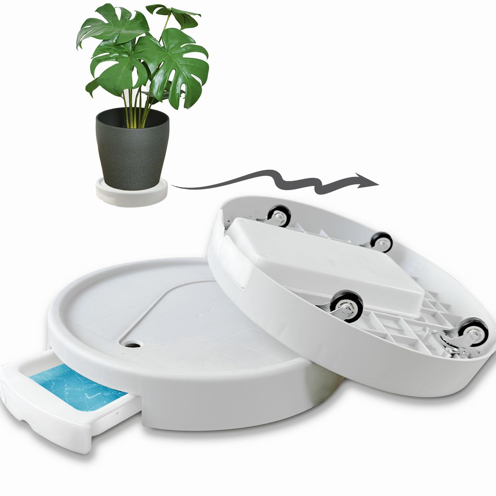 2 Packs 12 Inch Plant Caddy with Wheels, Drainage Tray, Rolling Plant Stand with Metal Casters for Indoor and Outdoor Use, Large Capacity, Durable PP Material