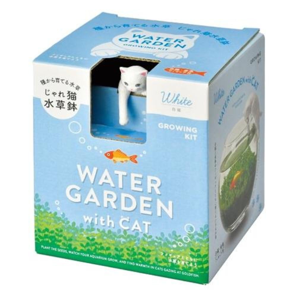 Amazon.co.jp: 聖新陶芸 じゃれ猫水草鉢 白 サイズ：約W10.3 D10.2 H11