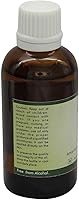 Vista 2 de Aceite de árnica Árnica Montana Aceite de masaje de árnica para cabello para cara 100% puro natural prensado en frío 0.169 oz por R V