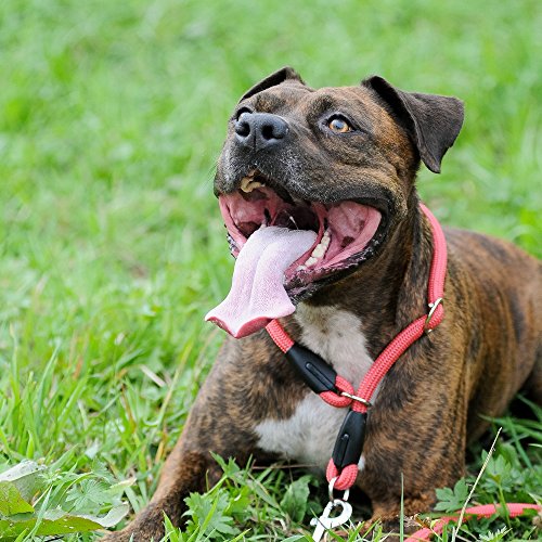 Dingo Black Cord Lead, Handmade Light Leash for Dog in Snake Style 10430, 8 mm x 120 cm - Image 4