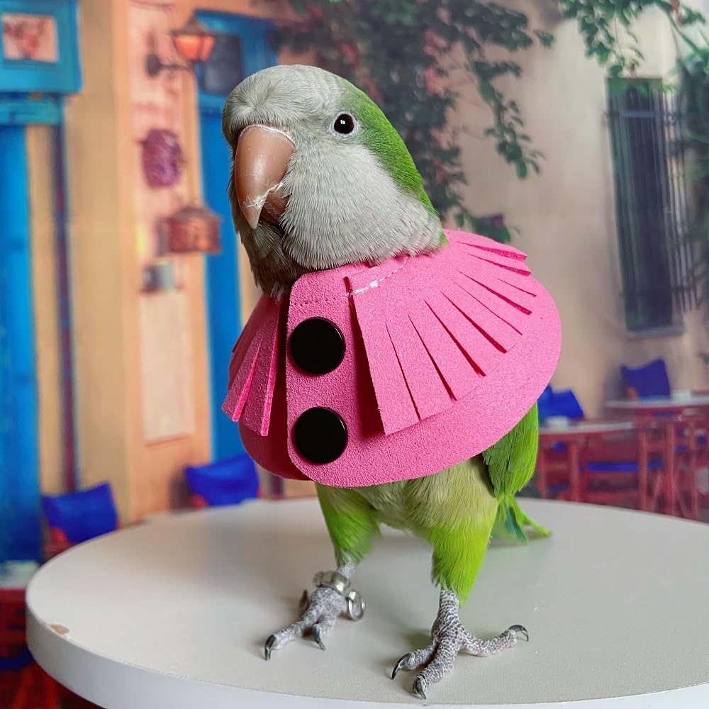 Parrot Cone Collar, Safe and Practical Cotton Collar to Prevent Bites and Licking Wounds, to Help heal (4XL)