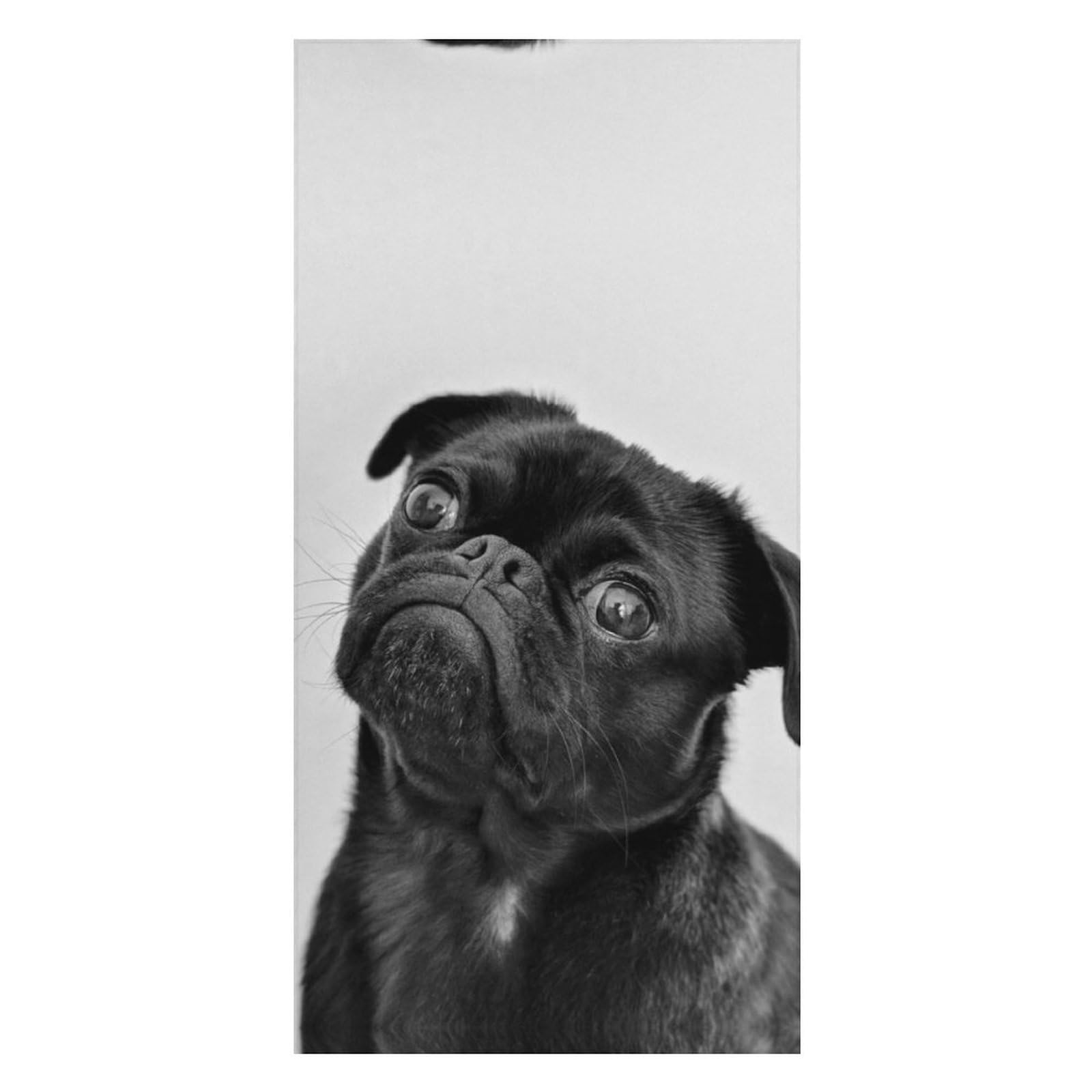 LWORZIIB Beach Towel, Cute Black Pug Dog Bath Towel, Pool Towel Great for Gym Swimming 80 X 160cm