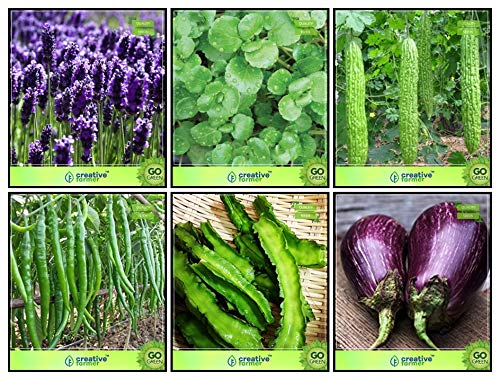 Creative Farmer Gardening Plant Seed Combo Herb Seeds & Vegetable Seeds : Bittergourd Priyanka - White Large Spindle Fruits , Chilly, Winged Bean(Revathy), Brinjal, Lavender, Water Cress Terrace Gardening