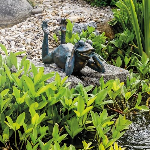 Wasserspeier Esotec Froschfigur für Teich und Garten