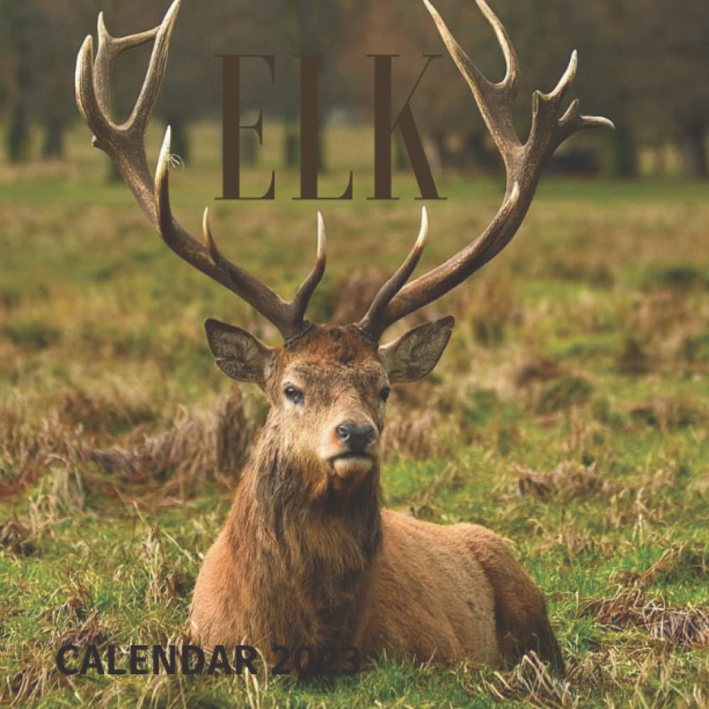 Buy ELK 2023 BONUS THE 6 LAST MONTHS FOR 2022 .Official Elk 2023