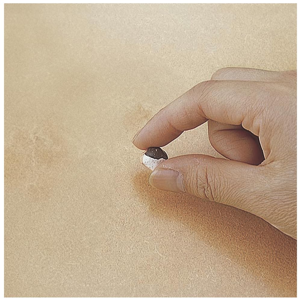 Amazon | 高森コーキ 穴埋め補修剤セット ピンク系 釘穴・ネジ穴を