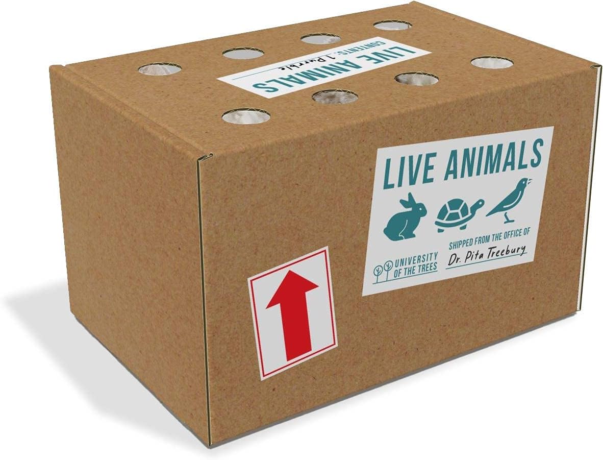 Purrble - Calming Toy Companion with Dynamic Heartbeat and Soothing Purr - Interactive Plush Companion for All Ages - Stuffed Animal Doll for Emotion Regulation - Cuddle and Pet Plushies : Toys & Games