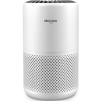 Okaysou 4 Optional Filters Air Purifier for Home Large Room, Covers up to 1320 Sq.Ft, 5 Layers of H13 True HEPA, Quiet 22dB Filtration System for Bedroom, Removes 99.97% of Particles, Smoke Dust Pollen Dander Hair, CADR 297+, White
