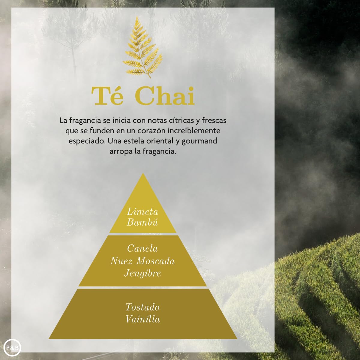 Esencia Hidrosoluble Te Chai Aromaterapia para Difusores y Humidificadores Aroma Canela 50 ml Pack de 4