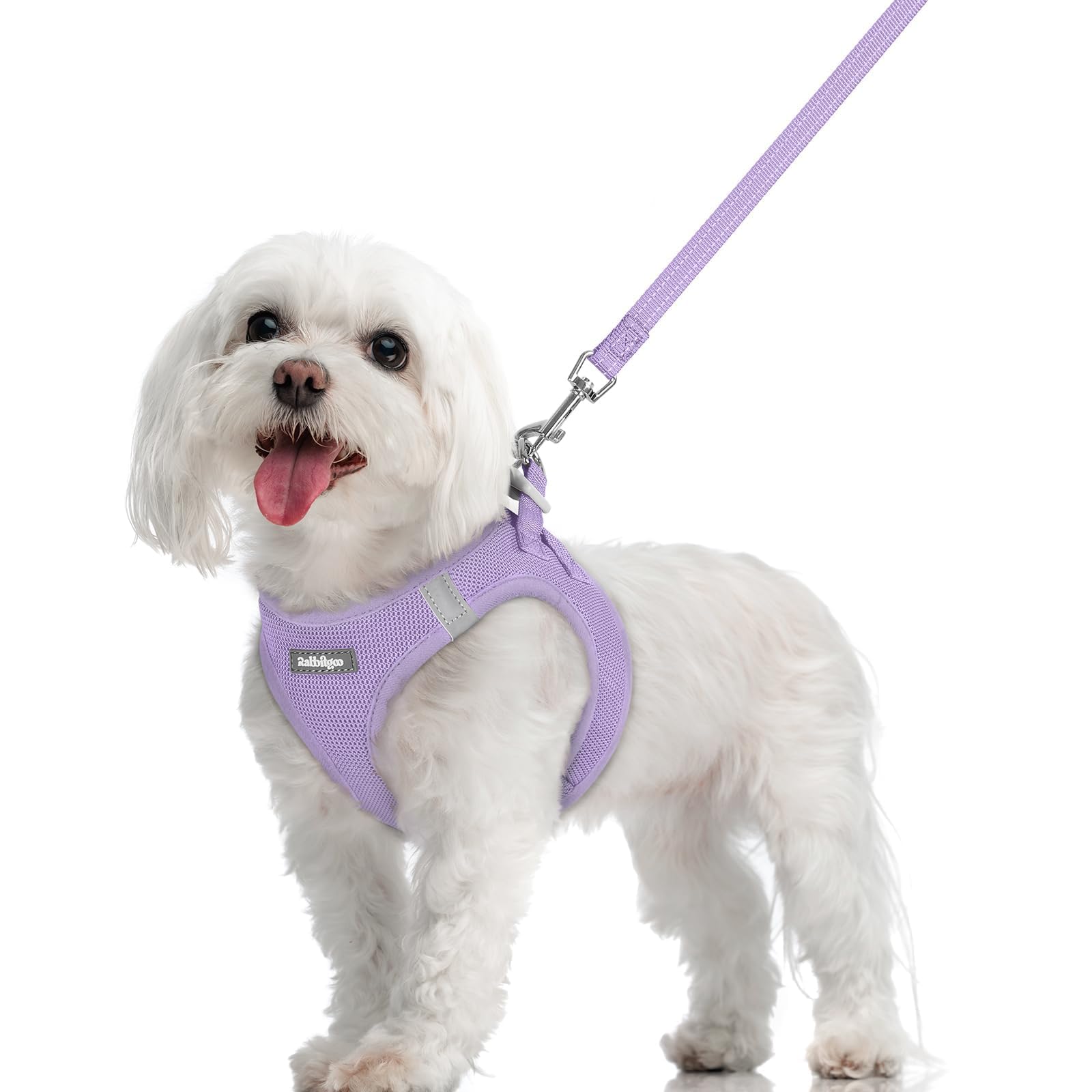 rabbitgoo Dog Harness Small Dog and Leash Set, Step-in Soft Mesh Puppy Harness with Reflective Strips, Lightweight Breathable Pet Vest for Walking Training, Light Purple, M
